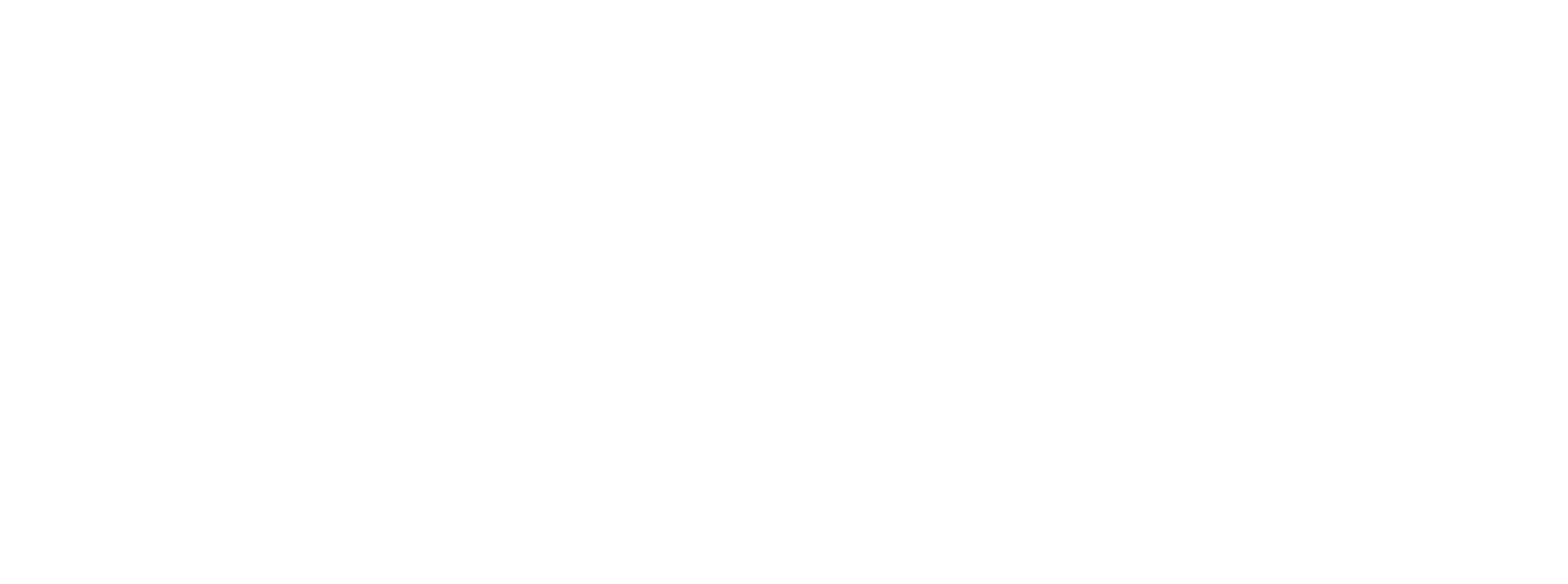 cnesst-logo-blanc